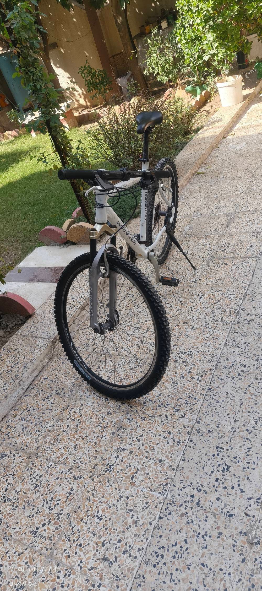 بايسكل • لويس ماركا • سعر خاص