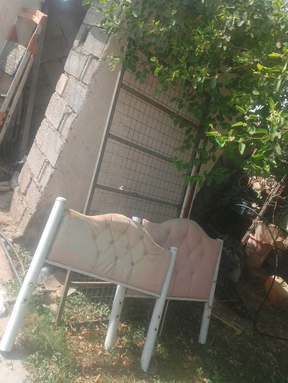 جربايه نفر كبيره عوزهه مسطره من الجانب العنوان بغداد الشعب السعر 15الف