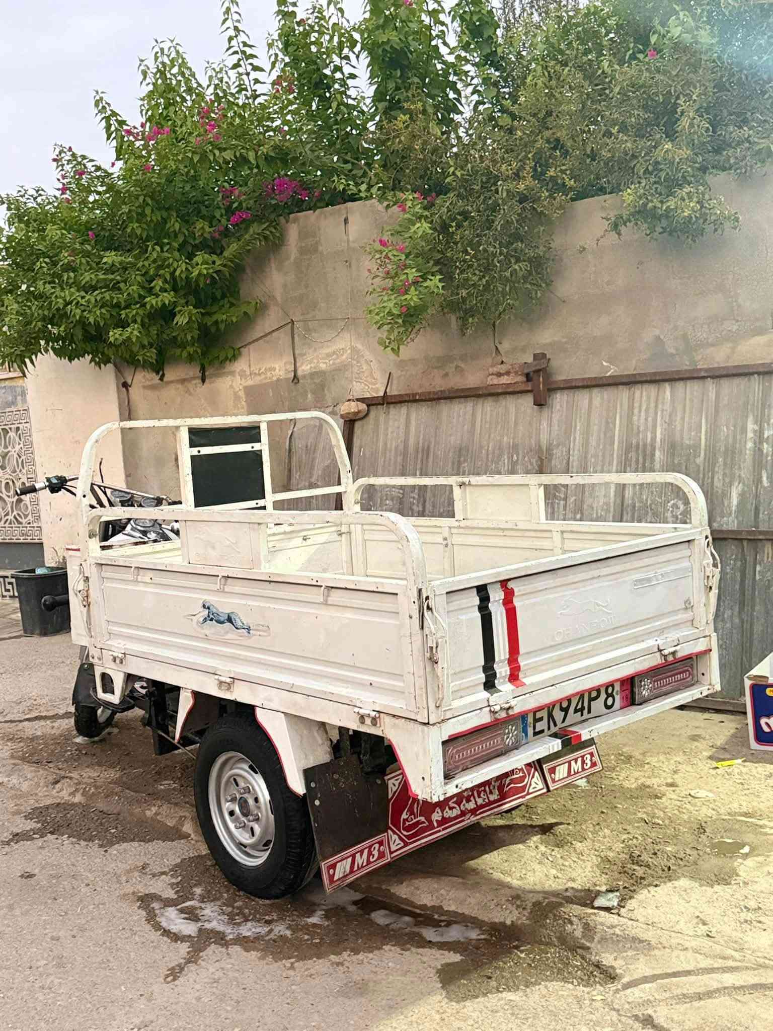 ستوته • موديل ١٩ • أوراق شمالية