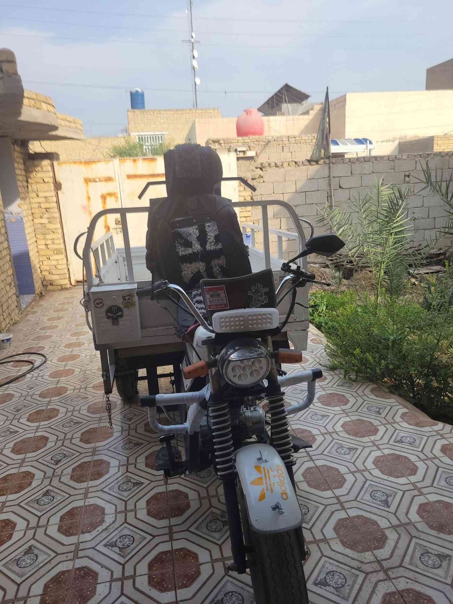 ستوته • بدون أوراق • موديل ٢٠