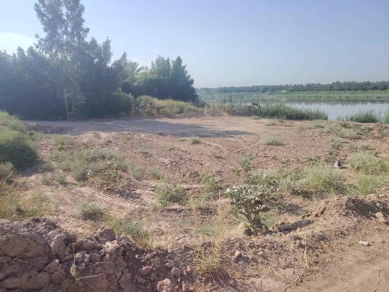ارض زراعية للبيع شاطية المساحه دونم أله الموقع واسط العزيزية الدير الاوسط قرب بيت فارس العجه للتواصل ***********
