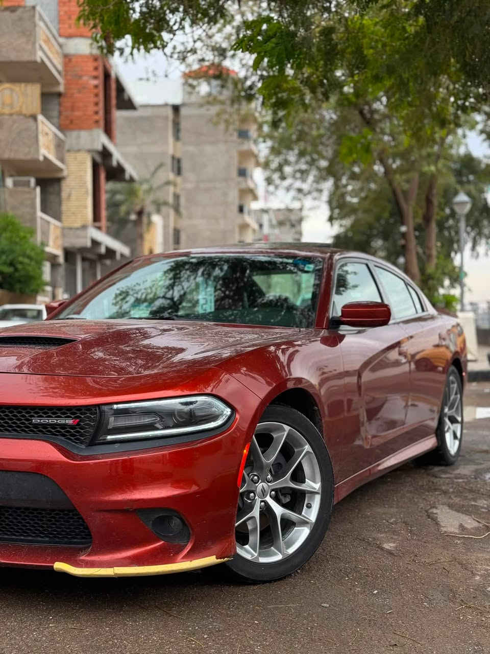 سلام عليكم   دوج جارجر GT خليجي شركت ‏ هالم كفاله عامه
موديل 2021 
لون مميز مشمشي 🧡 
ماشيه 120 الف كيلو متر  🔙
فتحه 
بصمت ابواب
شاشه كبيره
تتشغيل عن بعد 💨
سماعات الباين 💣
فتحت سقف 
كشنات جلد 🐺
رادار خلفي امامي 📡
كامره خلفيه 
وبعد بيها خير من الله موصفات ♥️. 
رقم سلمانيه ما ساقط ارقم السياره عله ايد وحده ول سياره احله  من الصور  بسمي تحويل مباشر  وول سياره ما نقصها اي شي مكان الساره ديالى جلولاء وبيكم خير وتدللون (*********** ) سعر السياره  (.  32. )  الف دولار
