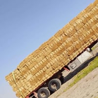 تبن درجه اولى مخبوط البيع طول متر وضغط توصيل كل محافظات   مكانه موجد إ...