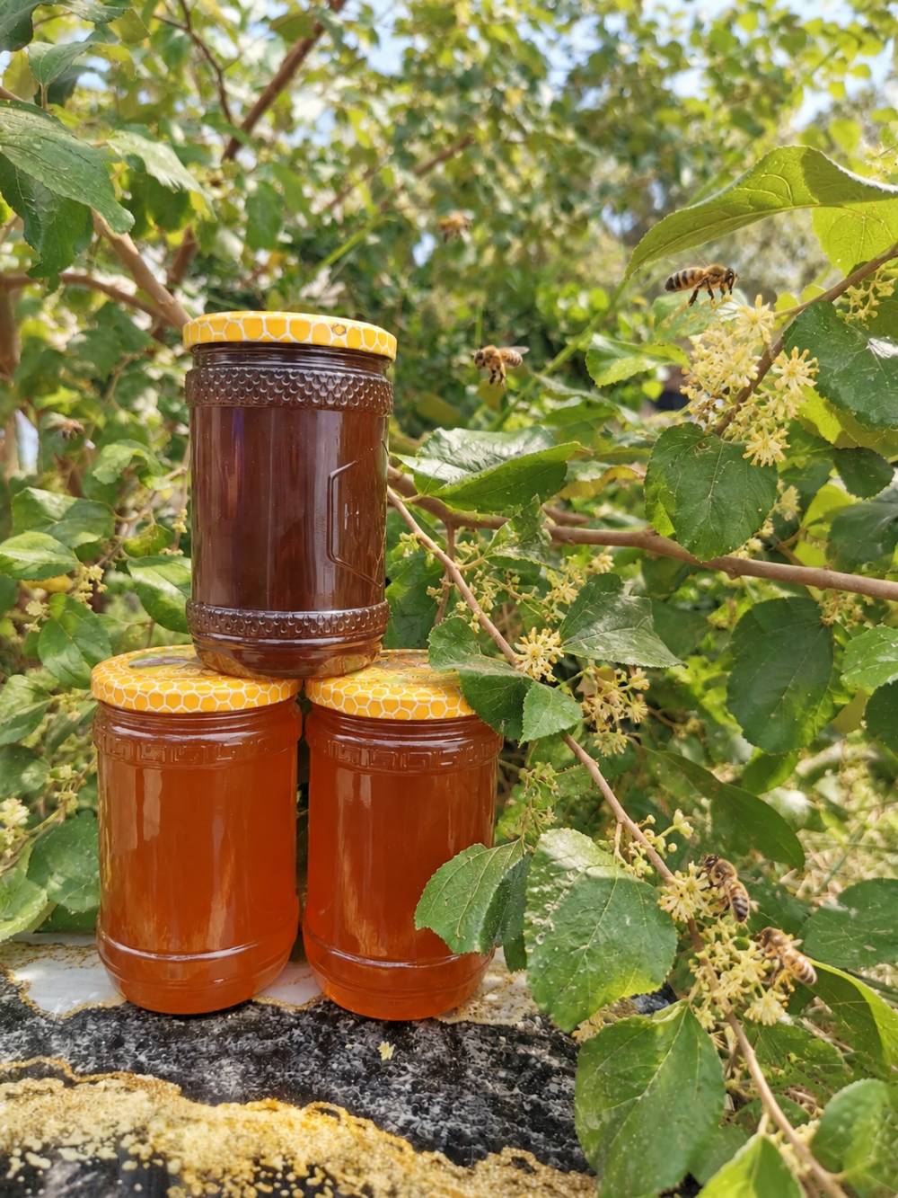 عسل طبيعي • علبة • توصيل