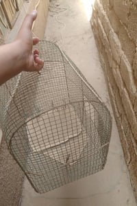 قفص بلابل • تكريت