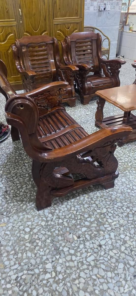 تخم كوري • ٧ مقاعد • بغداد شعله