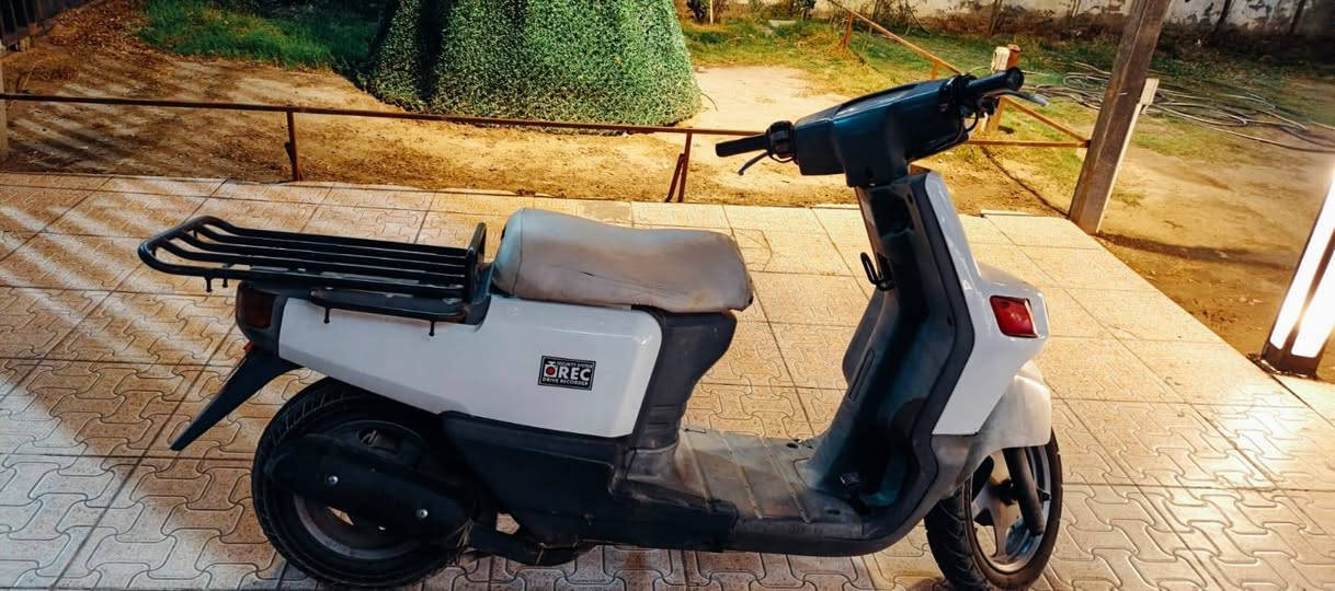سلام عليكم دراجه بيكم ياباني 60دراجه كاملة محرك ناعم كفرات نضاف شوفت عينك دبل  امامي جديد دبل خلفي جديد كهربائيات كاملة دوشمة جديدة تأيرات نضاف نقص باتري فقط 
العنوان بغداد الشعلة 
السعر300وبيهة مجال 
الرقم ***********
