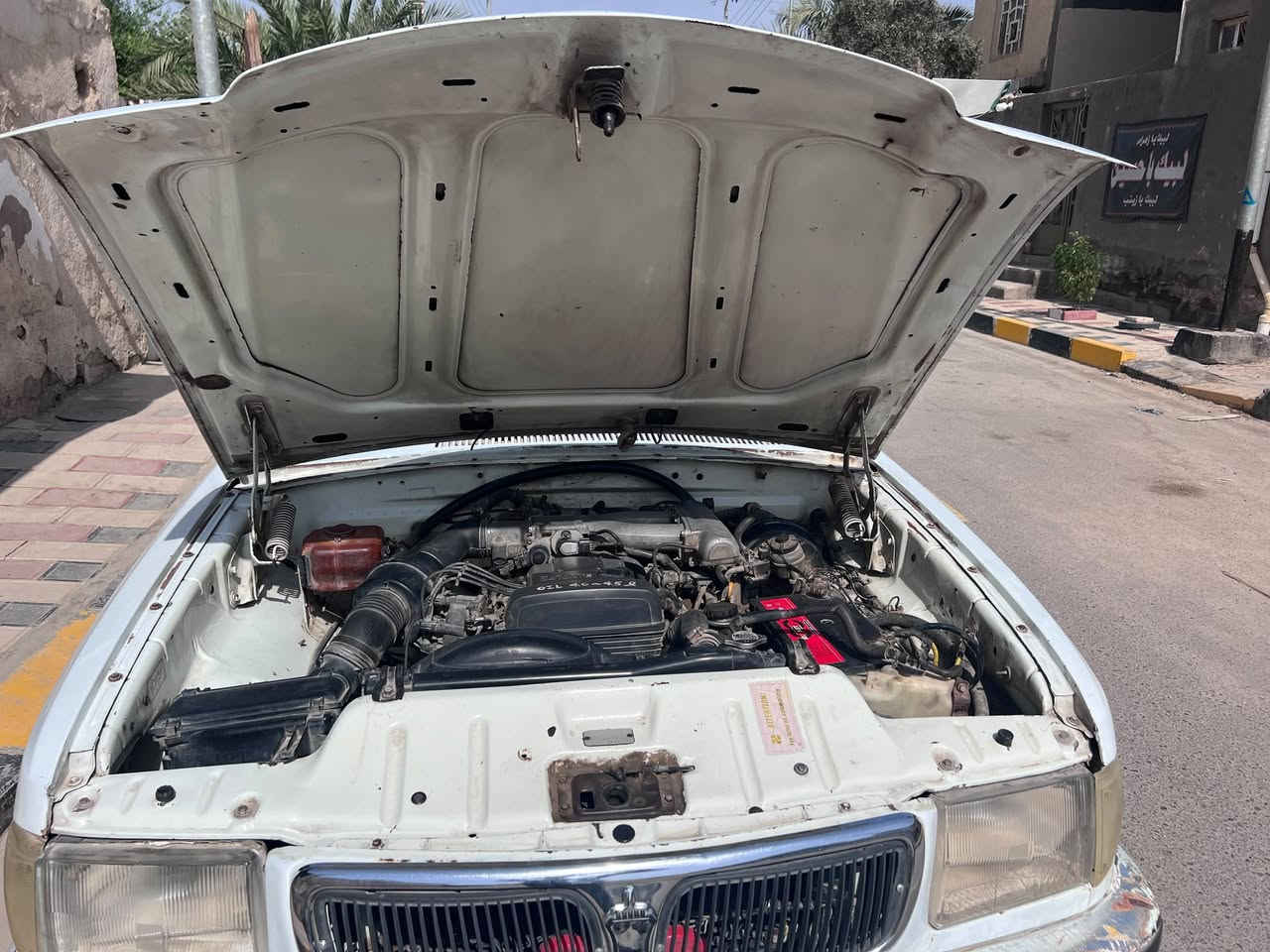جاهزه للبيع • ورق • سوق شيوخ