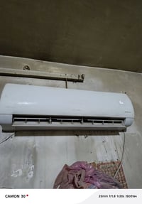 سبلت • توسوت • شغال
