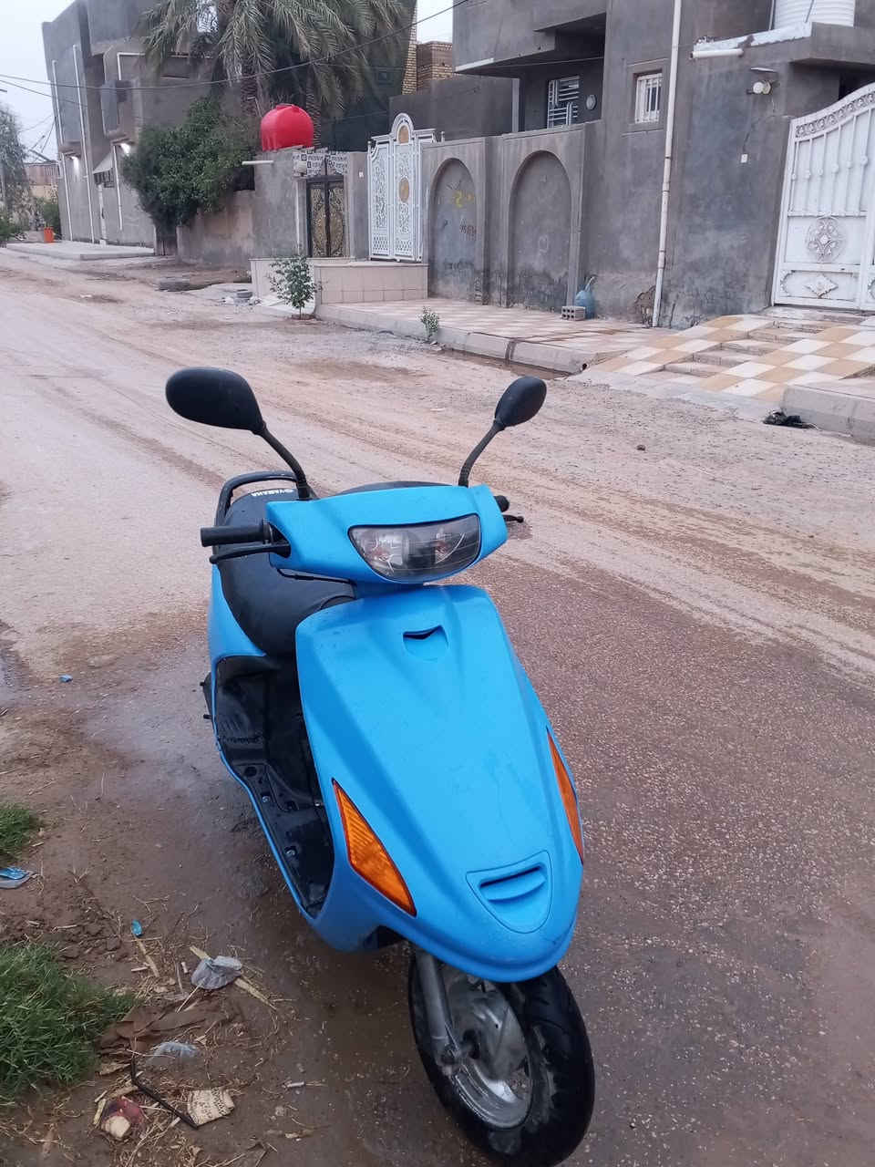 فراشه نثيه • خرسه • الرمبه
