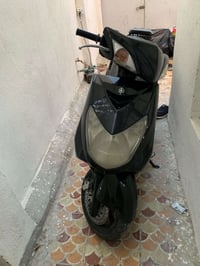 سكنس فحل للبيع الرقم 07715092282 العنوان الدورة ابو دشير