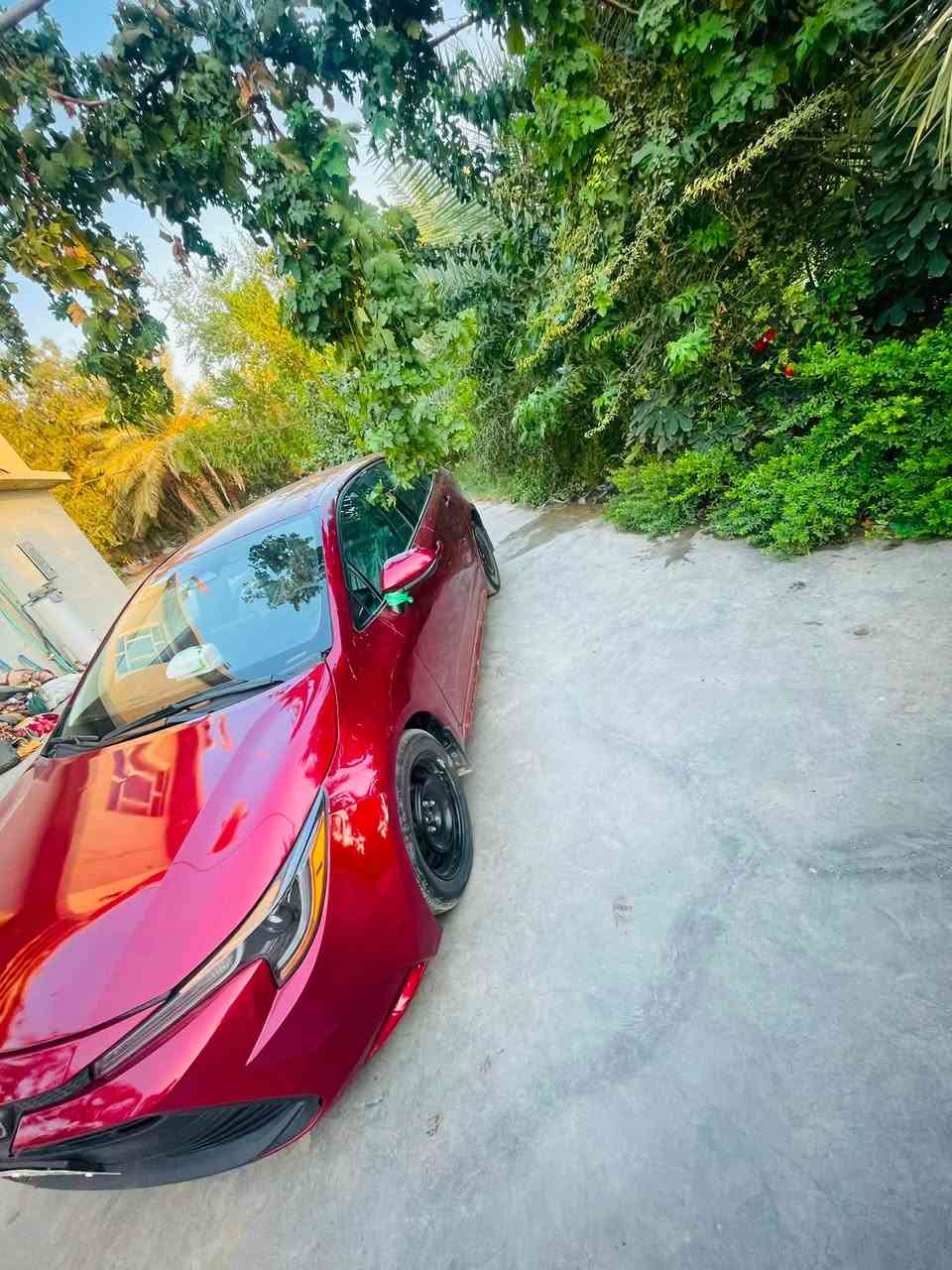 كورلا وارد أمريكي LE
موديل 2024 ماشيه 18
رقم بغداد شرط التحويل 
سياره مغلفه بي بي أف اصلي ابو ضمان 
مكينه 2000
نص فول رادارات
تحديد مسار 
مثبت سرعه 
شاشه كاربلي 
حادث سياره من امريكا دعاميه ولايتات سرقه
بل عراق بيها بنيد مبدل بدون لغود بدون شواصي مكفول 
سعرها ١٤٤ وبيها مجال 
مكان واسط الصويره 
***********واتساب

***********واتساب
