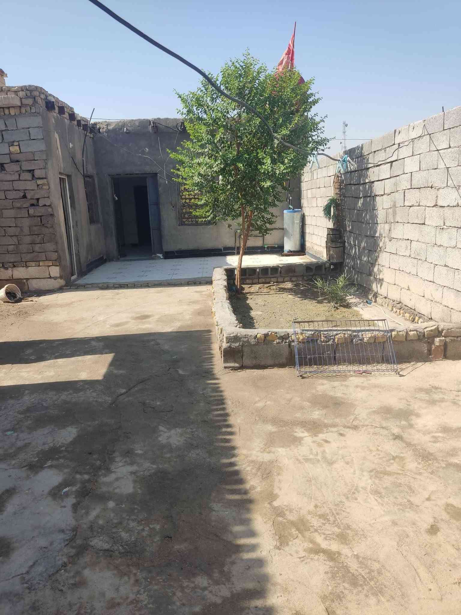 سلام عليكم بيت البيع زراعي 200متر بل ناصريه يم سيد خضير بيت كامل ماي كهرباء سعر 25بي مجال شراي يخابر*********** بي قرف العدد 2 حمامات داخليه +مطبخ+دوانيه
