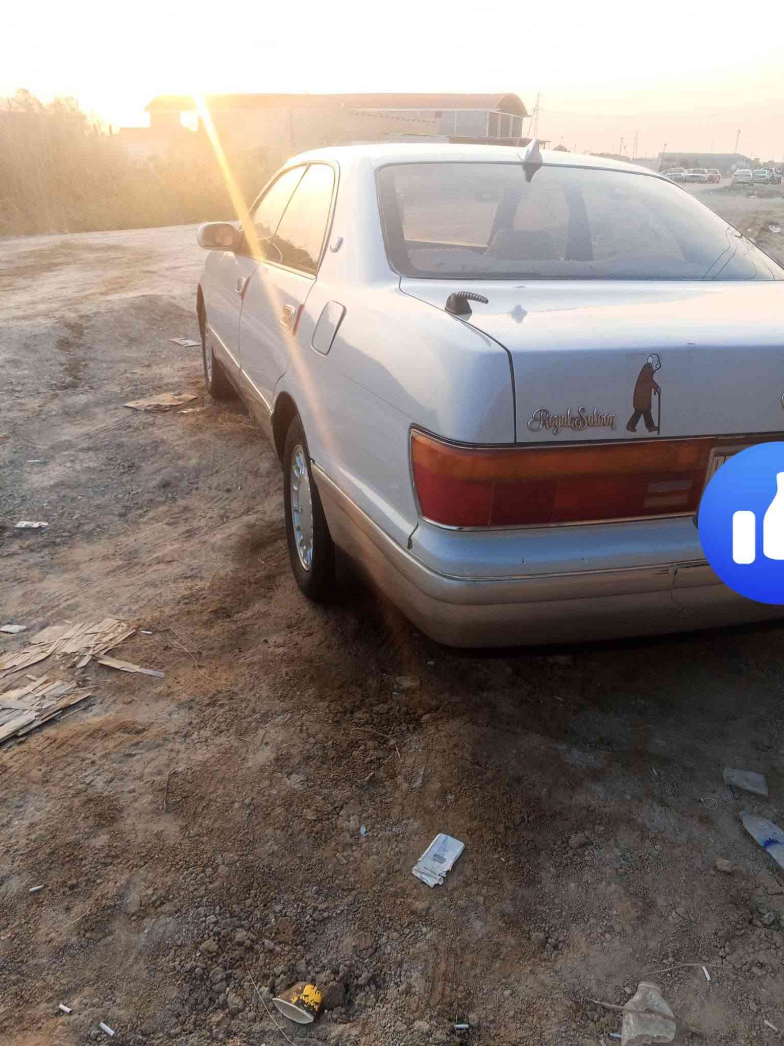 كراون بطه • ١٩٩٣ • نكليزي