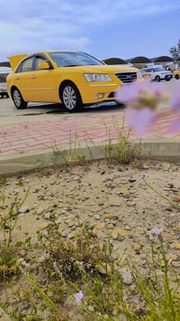 سوناتا • ٢٠٠٩ • تبديل فقط