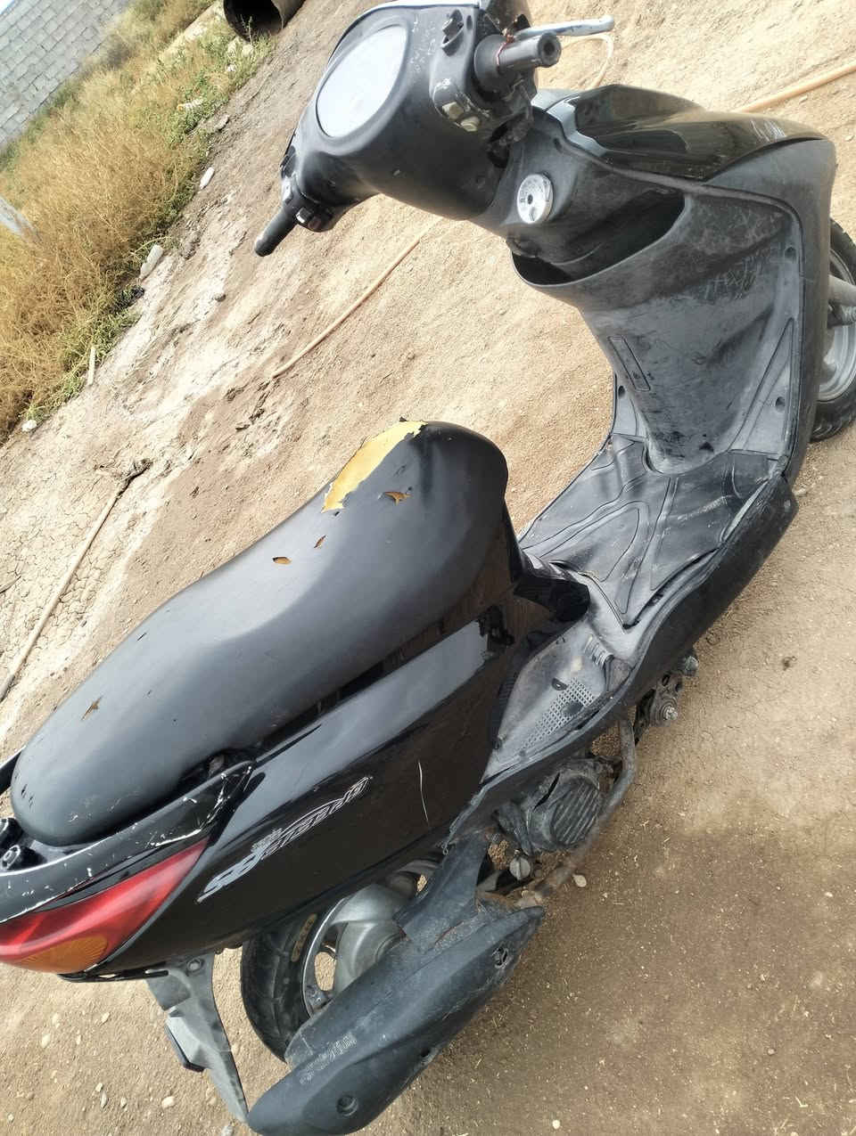 بريز ببغاء • نضيفه • عطله