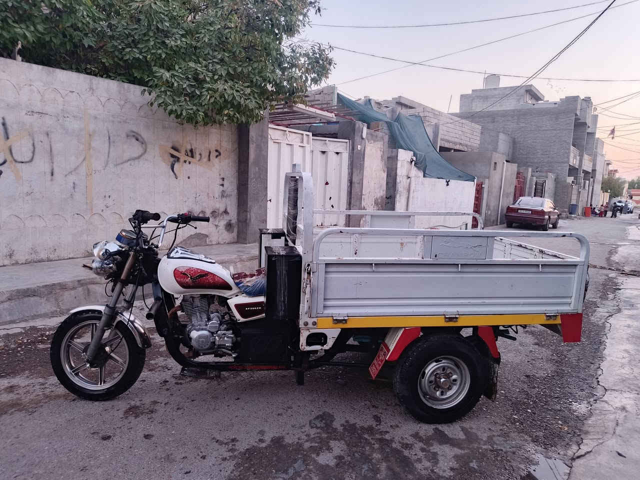 ستوته جمره للبيع فحل ناصي اوراق كامل 5ستوته ابلاديه موديل 19سعر 1225مكان ستوته ديالى جلولاء ***********ركبه شرط
