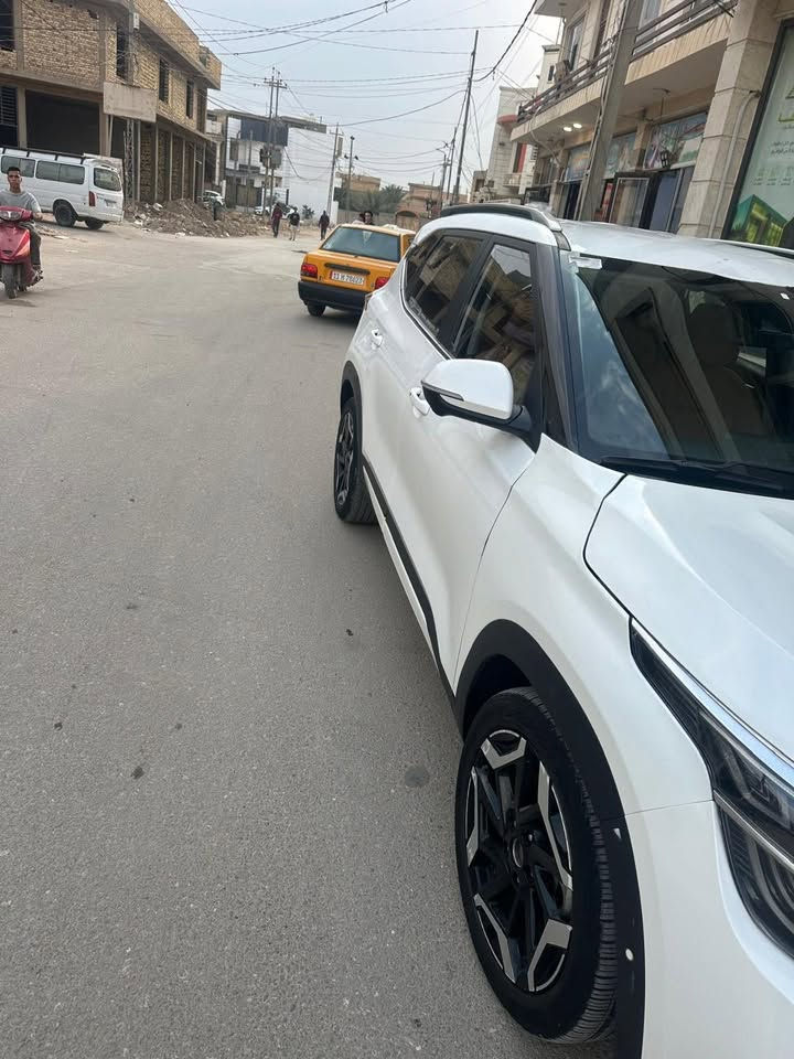 سلتوز • ٢٠٢٤ • رقم شهداء