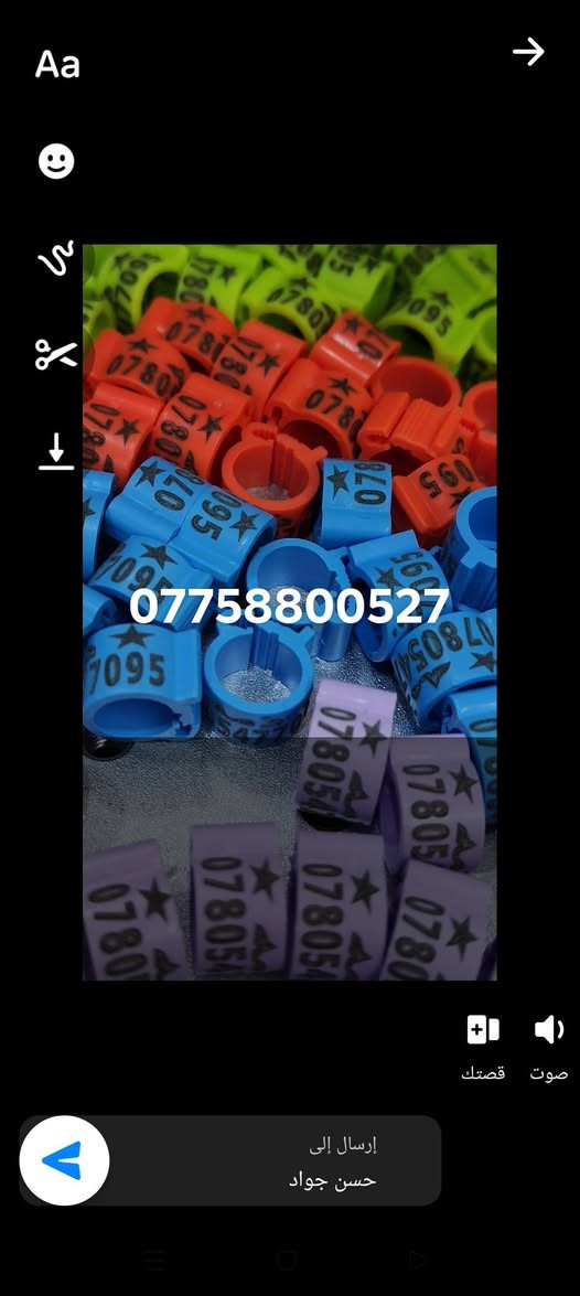 حجل طيرك وبسعار تنافسيه وشغل مضمون 👇❤️ حجول  وتوصيل لكل العراق والخبره بلعمل
من رخصت لمشرفين تريد حجل اصلي  ❤️ يوجد لدينا كل ماهو جديد عمل جميع  انواع حجول رابطه ستندر بنواعها حمام اللوت والزاجل والرافل والحمر وتور تيدي وطيور الزينه وباقي الطيور  بكافة انواعها  المغرد جاوه وبلابل  وفجانس وكناري وبادجي هاجرمو  وكوكتيل والدره وغندور وروز والحمام الملكي  ودجاج ومختلف النوعيات الالوان والموديلات حسب طلب الزبون الحجول والقياسيات موجوده بنواعها وتلبيس لطيور الكبار موجود حسب الطلب
الموثق والمفتوح وقراصات و المنيوم مفتوح الشغل درجة أولى حفر ليزر وحجول  والطيور بانواعها ملاحظه يوجد لدينا حجول زينه تراجي وحجل جرس خرخاشه واشرات وباقي الحجول بنواعها لكافه لطيور توجد خدمه توصيل لباب لبيت لجميع المحافظات العراق 🚕🚕 بسعر مناسب جدا للحجز مراسلة الصفحه او واتساب📱📞او الاتصال علئ الرقم او وتساب ملاحظه خبره بلعمل أكثر من 10 سنوات احذر التقليد 😍 لاتنسه لايك ومتابعه للحساب هدفنا تطوير الهوايه ولطيور لتعارف 😘 

***********
***********
