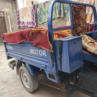 ستوتة • فحل • سلف