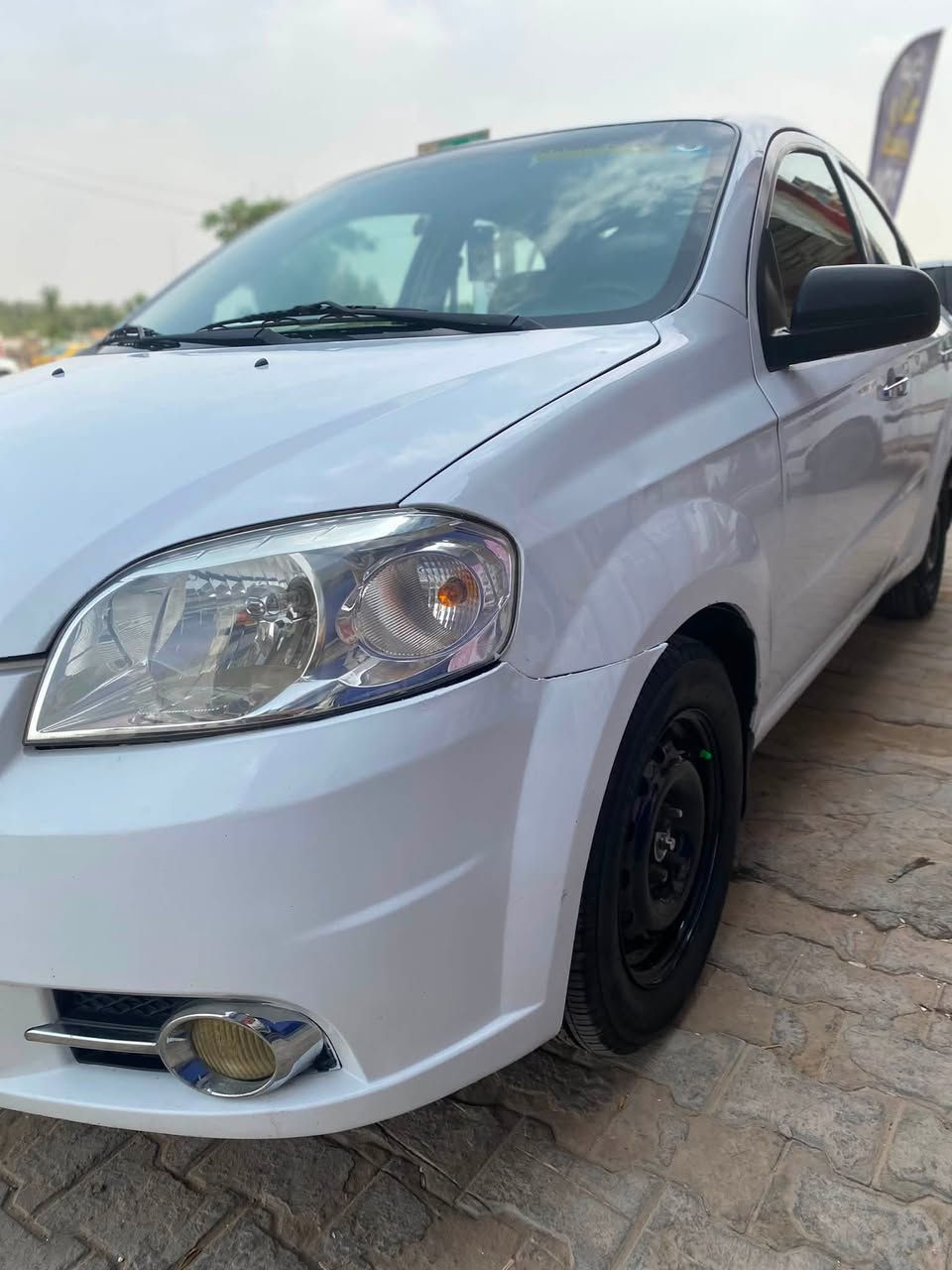 افيو • ٢٠١١ • رقم بابل
