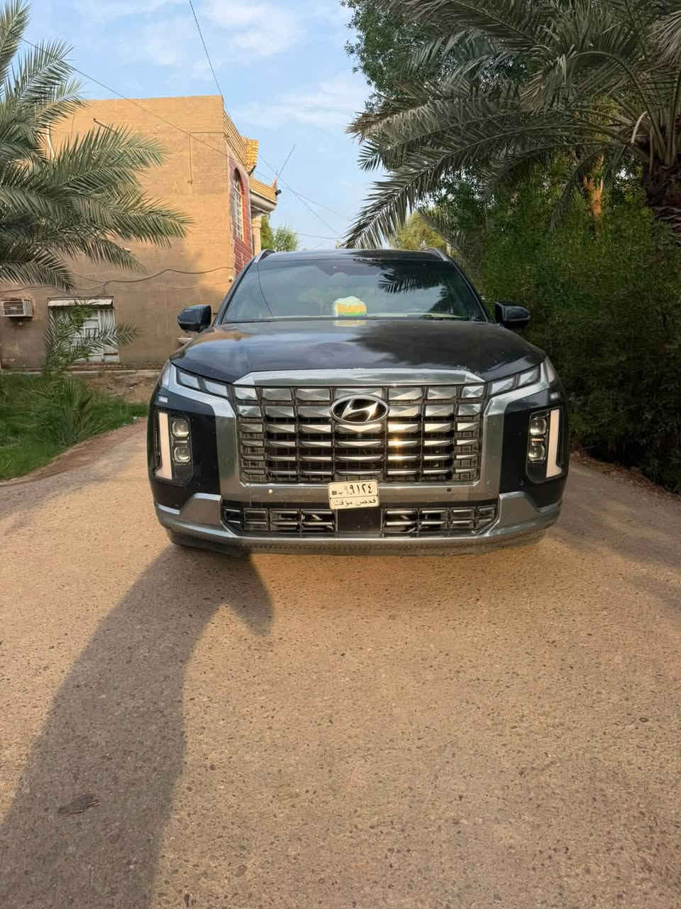 بليسايد كلكرافي • ٢٠٢٤ • وارد أمريكي