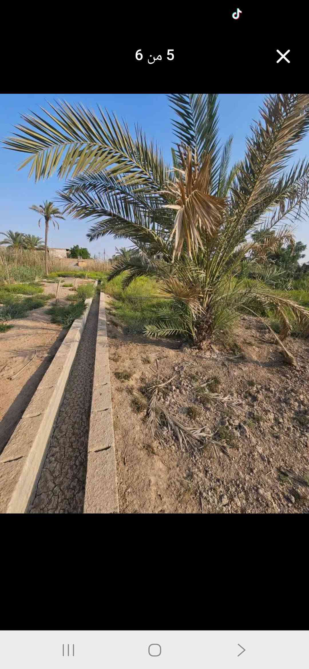 دونم • طابو صرف • ابوالخصيب