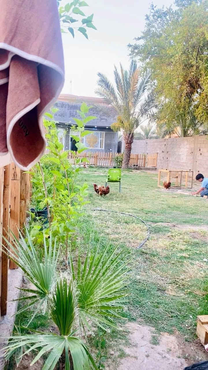سلام عليكم دار البيع
دار لبيع  مساحه 550متر
البيت طابق ونص  طابو زراعي سند 25
البيت حديث بنا درجه اولى 
محتويات الدار حوش مساحه كبيرة +حديقة
استقبال +مطبخ حار بارد +صاله + 3 غرف +ترك عدد 2 علي طول البيت. 
السعر 200 وبي مجال
مكان الوسمة والنواط قرب منطقه الشعب
الاستفسار ‏‪‏‪***********‬‏
