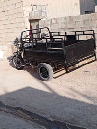 ستوته • للبيع • ٥كيلو