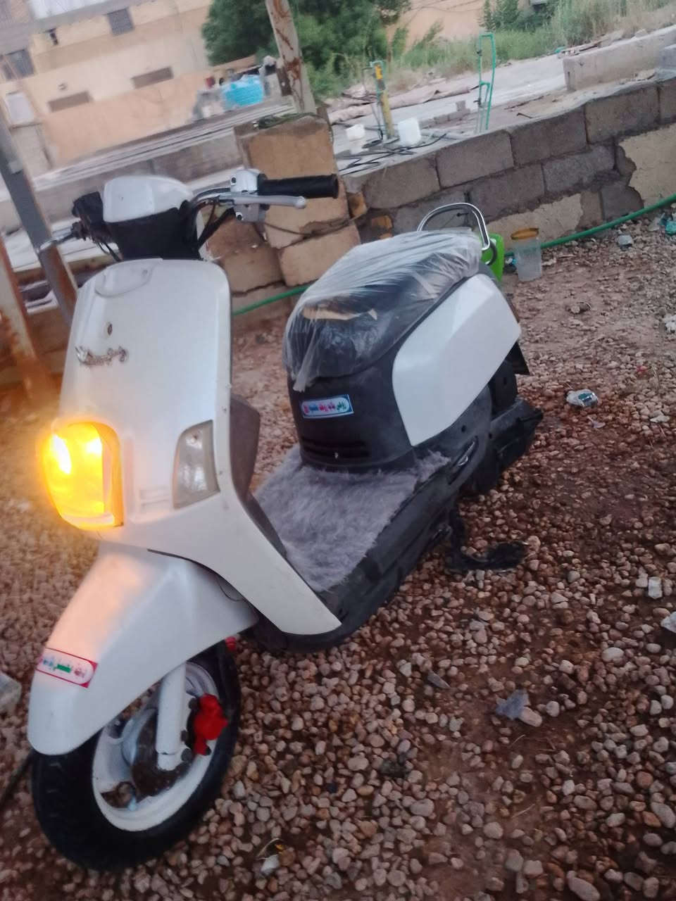 بوليس • نضيفه • ٢٠٠٧