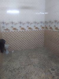 بيت للبيع 50متر طابقيين غرفه ومطبخ وخدمات وغرفتين وخدمات فوك وبيتونه س...