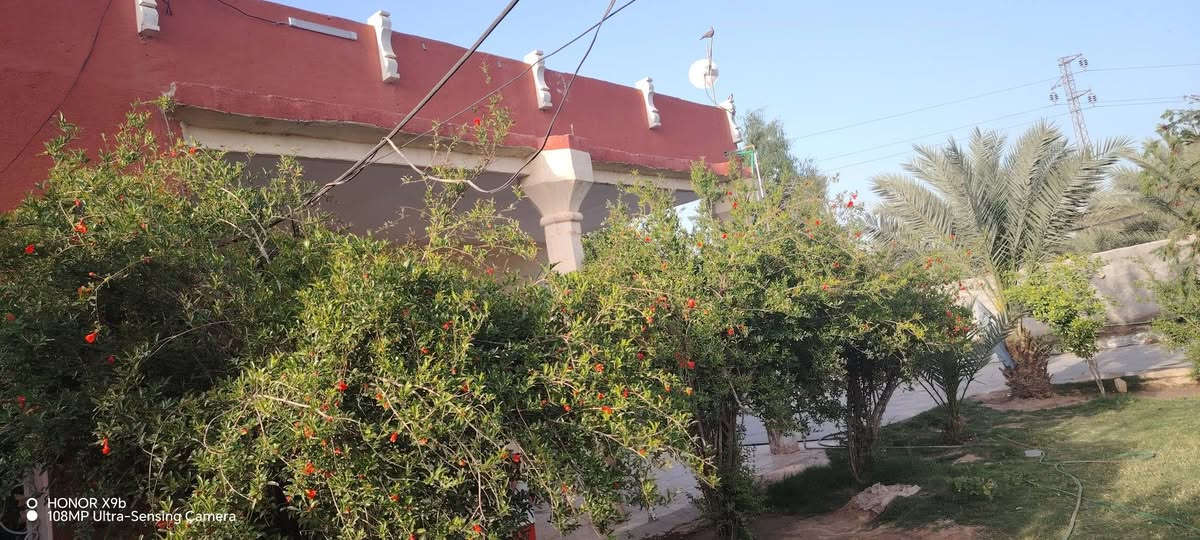 السلام عليكم بيوت عدد اثنين
مع مشتمل للبيع في حي رشيد قريب علئ مستشفئ الامام علي (ع) 
المساحه الكليه 1400 متر  مساحه البنيان 870 متر  مساحه الفارغه 530 الخدمات متوفره 
اساله كهرباء مولد تبليط مدرسه قريبه
موقعه تجاري يصلح محلات مع محطه ماء  مع  غرف عدد اثنين 5_4 مضيف 8_4 مطبخ كله سراميك وسقف ثانوي 4_4 هول 10_4 البيت الثاني نفس الغرف بس مابي مضيف مطبخ خارجي مجمع صحيات وحمام خارجي الاستفسار على هاي الارقام      ***********  ***********
