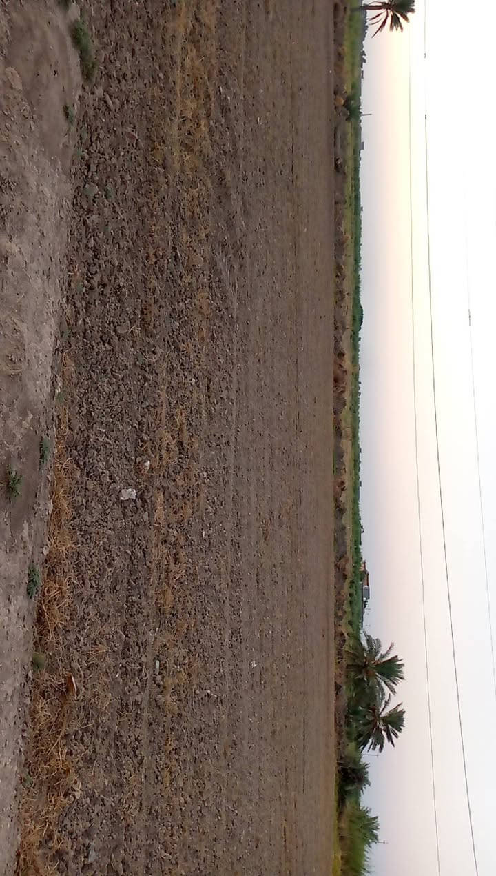 صقلاويه ابو سديره • ٢ دونم ٣٠٠م • ماء وكهرباء