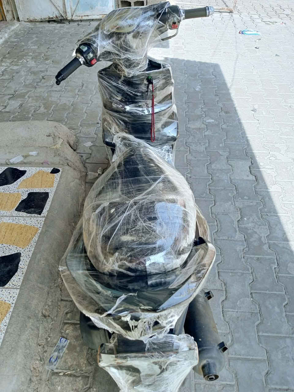 ثعلب • اوراق • معدل
