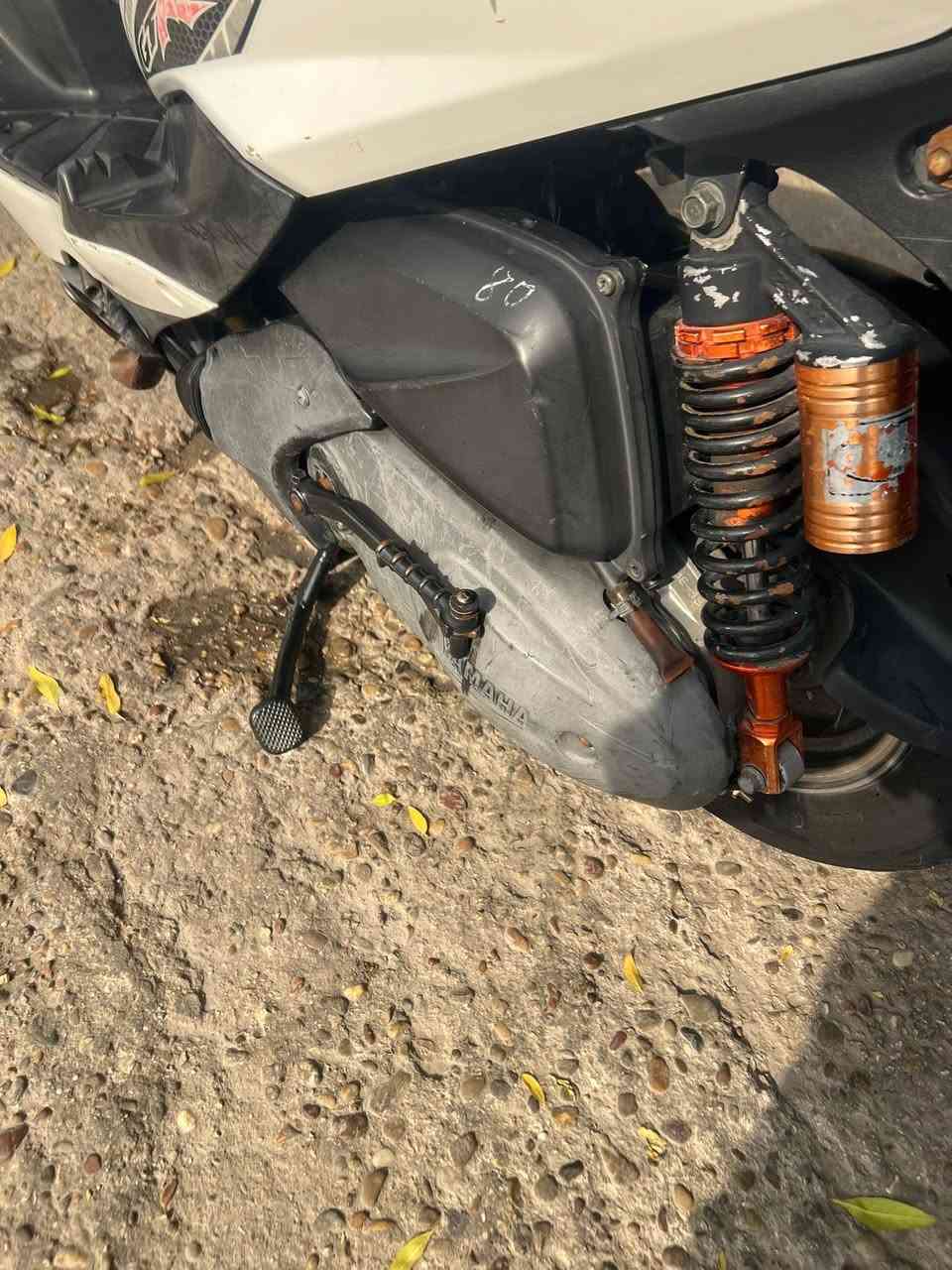ثعلب • جديده • الشعله