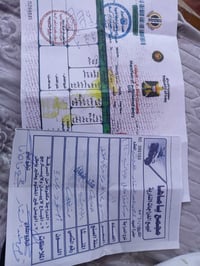 سكنس فحل • ياباني • ١٤٠