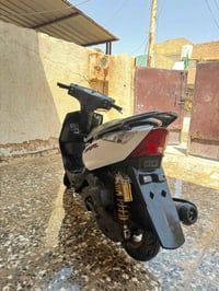 بلادي • مكينة • فول مواصفات