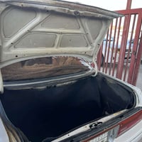 بطة • ١٩٩٤ • بدون صبغ