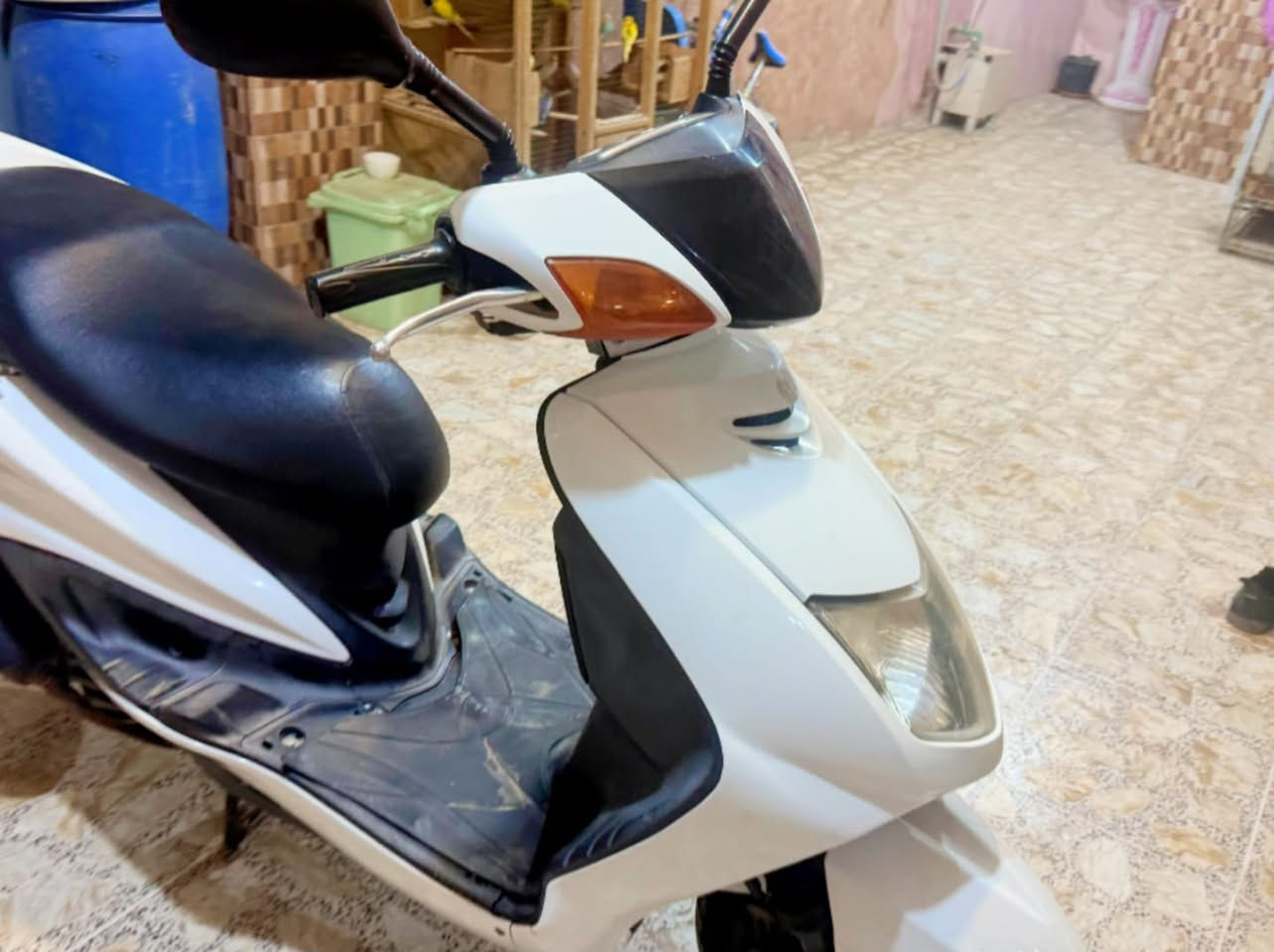 سكنس • ٢٠٠٦ • نضيفه