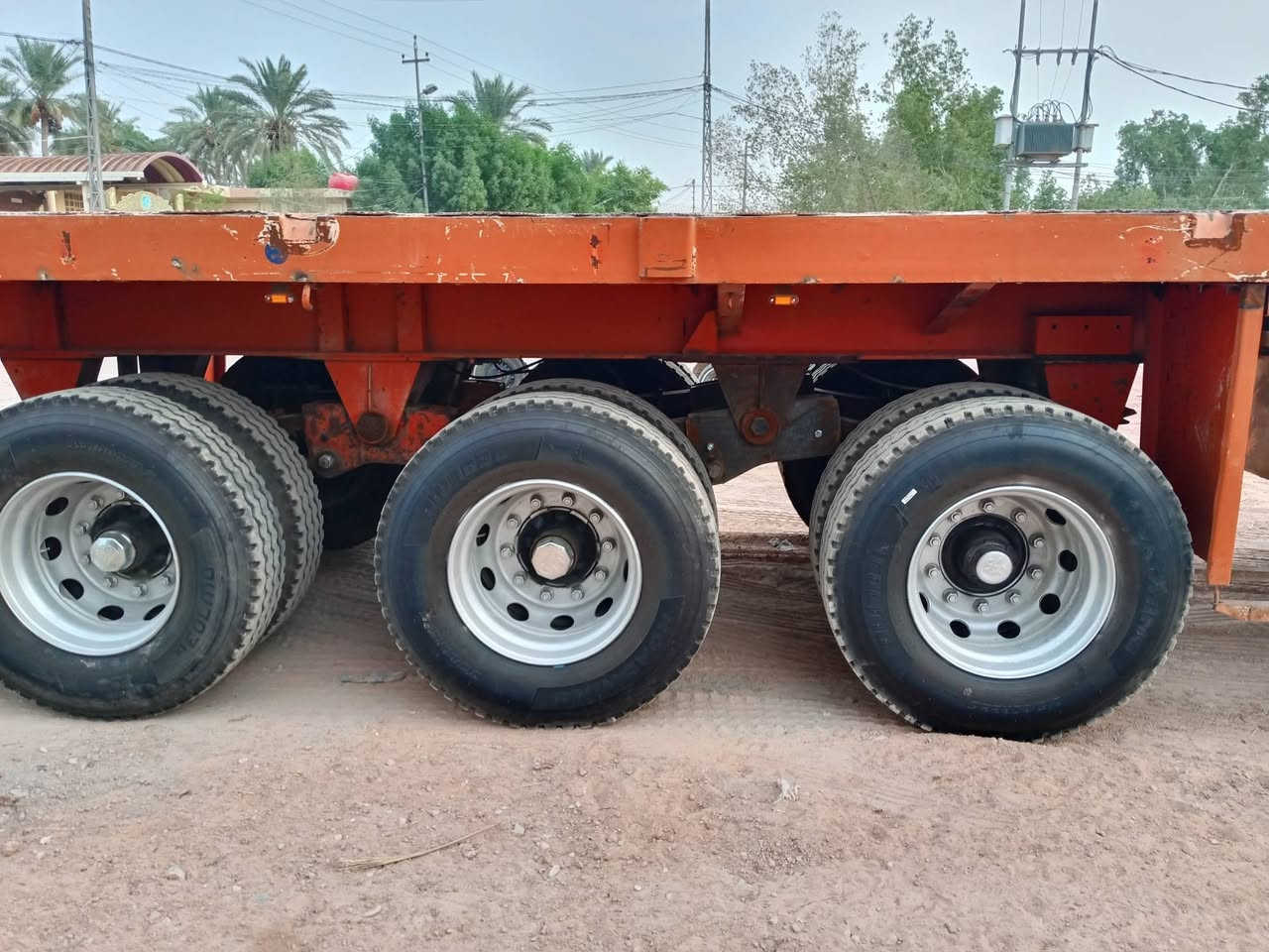 عربان • بلوم تخم • تاير جديد
