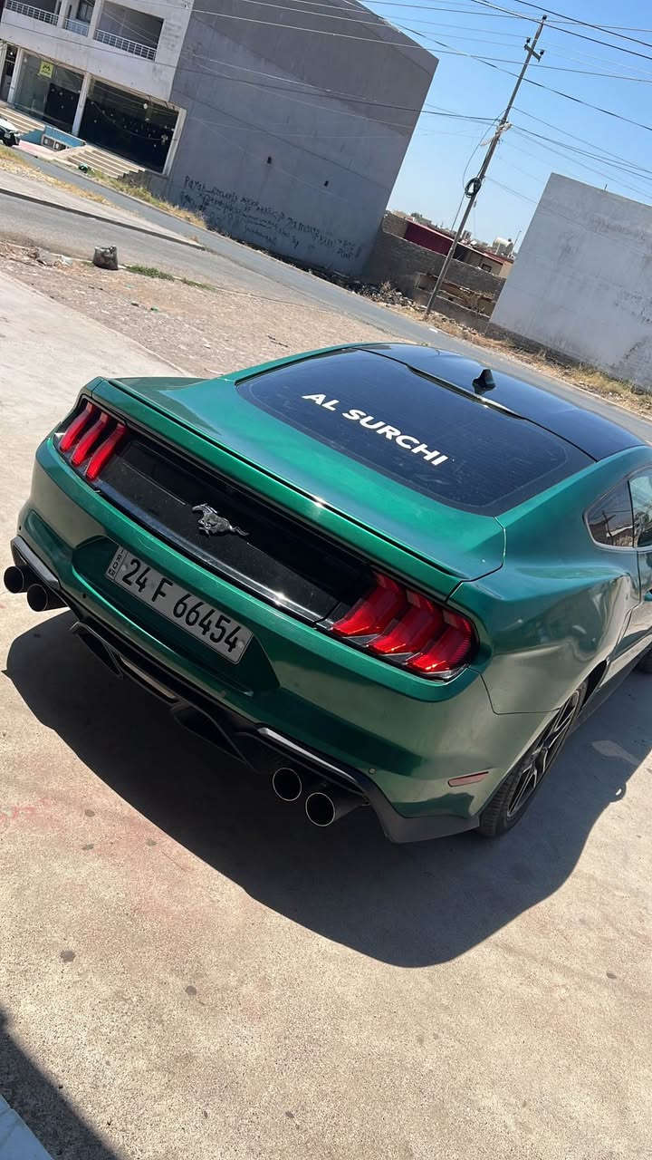 Ford mostang 2023 sport full
Pstin v 4 توربو 
Muasafat كوشن جلد بيلاد ساردو گه رم شه شه مه زن سوكان فوليوم وزور مواسفاتي تر 
Subxh عام صبخة بي داغلي بيش و بشتي كه بسه ره نگي  كي نمونه هيج مسروفيكي تيدانيه كير ومه كينه بشرتن بي كيشه 
Ragam دهوك بشه رتي تحويل 
Irbak ايرباكي نه ته قيوه 
Ragam shnsi 1FA6P8TH2P5103557
Mustari ته له فون بو ام زمارانه ي خواره وه بكه 
***********كورك 
*********** واتساب اكر, نينوى
