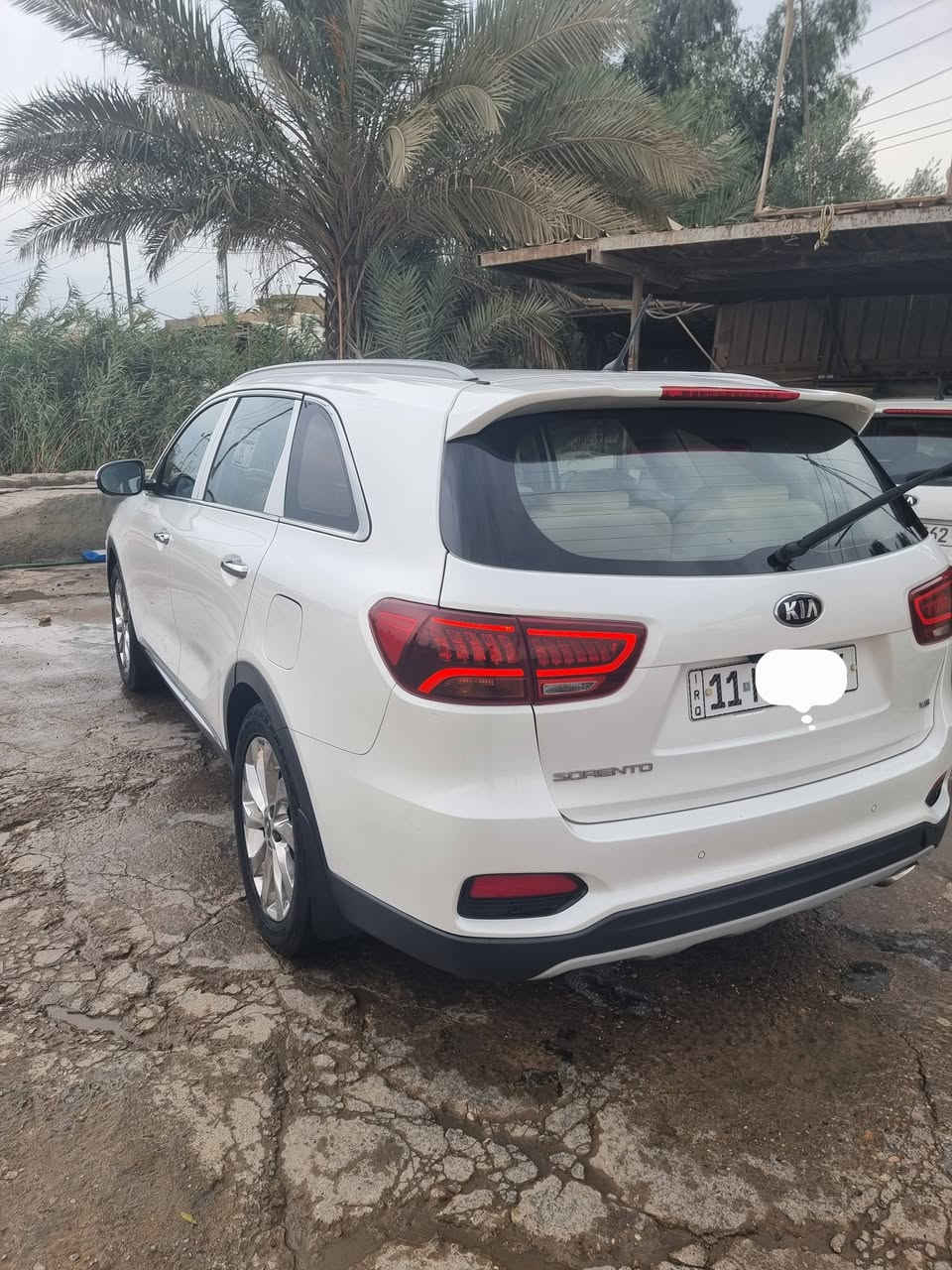 سورنتو • ٢٠١٩ • بدون حادث