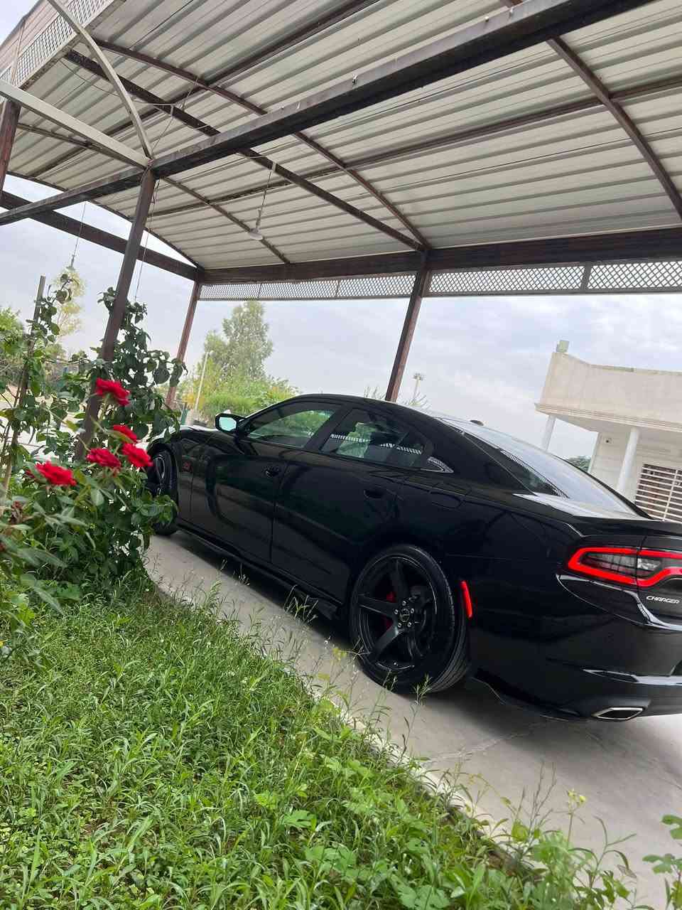 تشارجر SXT • ٢٠١٩ • اربيل