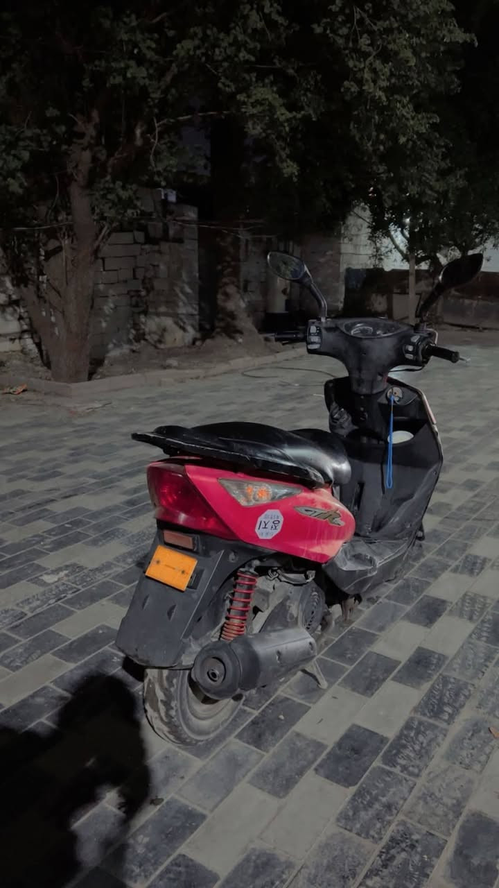 ثعلب 140 كاطعة زنجيل السعر 250 مجال حك الجيه *********** واتساب

