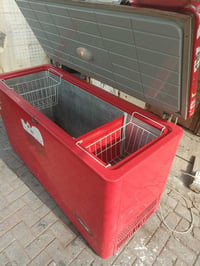 مجمدة • حجم ٢٦ • البصرة