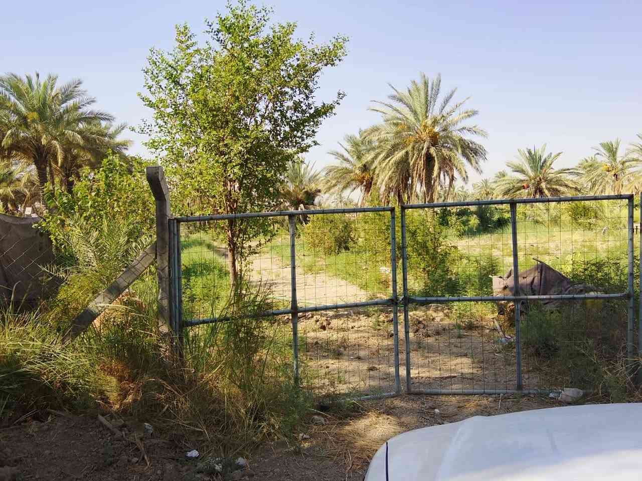 دونم • طابو ملك صرف • ماء نهر