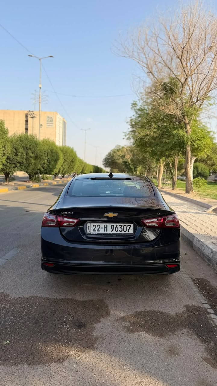 ماليبو • ٢٠٢٢ • رقم اربيل