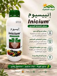 انيسيوم • منشط جذور • اليوسفية بغداد