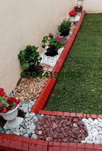 ماكو تفاصيل • نص بالصور • حديقة