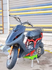 ماكس • لعب 55 • جاهزه